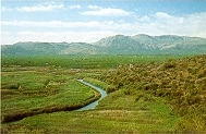 El Marjal