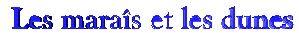 Mara�s et les Dunes